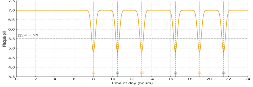 間食と再石灰化のグラフ